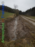 Bild zum Eintrag (1003551-177)