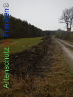 Bild zum Eintrag (1003557-177)