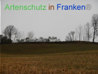 Bild zum Eintrag (1003560-177)