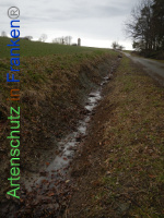 Bild zum Eintrag (1003564-177)