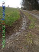 Bild zum Eintrag (1003565-177)