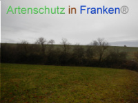 Bild zum Eintrag (1003569-177)