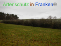 Bild zum Eintrag (1003570-177)