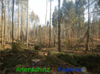 Bild zum Eintrag (1004134-177)