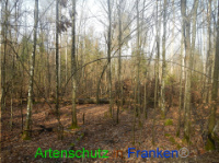 Bild zum Eintrag (1004150-177)