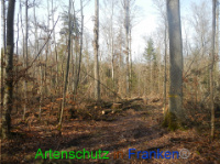 Bild zum Eintrag (1004152-177)