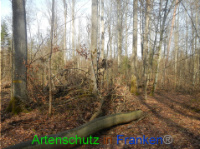 Bild zum Eintrag (1004153-177)