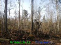 Bild zum Eintrag (1004154-177)