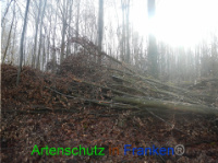 Bild zum Eintrag (1004174-177)