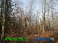 Bild zum Eintrag (1004225-177)