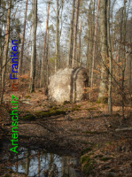 Bild zum Eintrag (1004542-177)