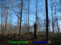 Bild zum Eintrag (1004640-177)