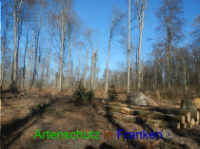 Bild zum Eintrag (1004642-177)