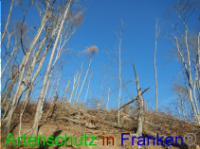 Bild zum Eintrag (1004692-177)