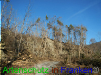 Bild zum Eintrag (1004697-177)