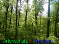 Bild zum Eintrag (1005962-177)