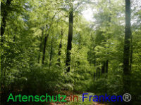 Bild zum Eintrag (1005963-177)