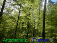 Bild zum Eintrag (1005965-177)