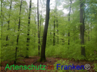 Bild zum Eintrag (1005967-177)