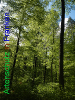 Bild zum Eintrag (1005972-177)