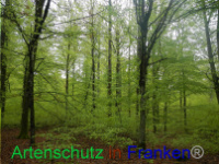 Bild zum Eintrag (1005986-177)