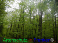 Bild zum Eintrag (1005987-177)