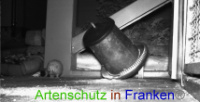 Bild zum Eintrag (1012238-177)