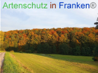 Bild zum Eintrag (1012893-177)