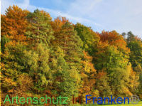 Bild zum Eintrag (1012894-177)