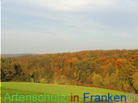 Bild zum Eintrag (1012900-177)