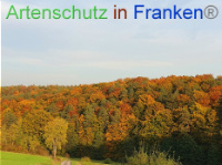 Bild zum Eintrag (1012901-177)