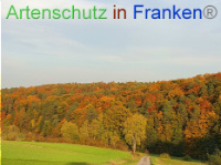 Bild zum Eintrag (1012903-177)