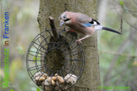 Bild zum Eintrag (1013937-177)