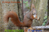 Bild zum Eintrag (1014506-177)