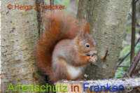 Bild zum Eintrag (1014511-177)