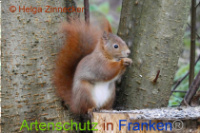 Bild zum Eintrag (1014512-177)