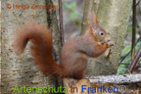 Bild zum Eintrag (1014513-177)