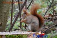 Bild zum Eintrag (1014515-177)