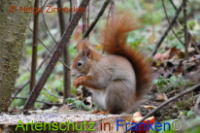 Bild zum Eintrag (1014516-177)