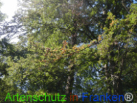 Bild zum Eintrag (1029623-177)