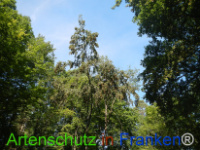 Bild zum Eintrag (1029628-177)