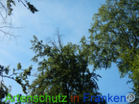 Bild zum Eintrag (1029642-177)