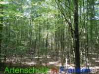 Bild zum Eintrag (1029648-177)