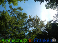 Bild zum Eintrag (1029650-177)