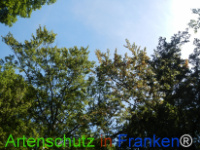 Bild zum Eintrag (1029655-177)