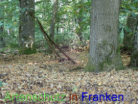 Bild zum Eintrag (1030309-177)