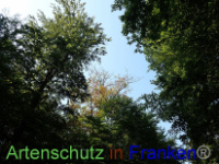 Bild zum Eintrag (1030336-177)