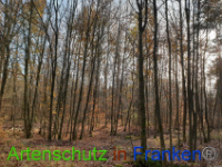 Bild zum Eintrag (1037216-177)