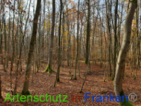 Bild zum Eintrag (1037221-177)