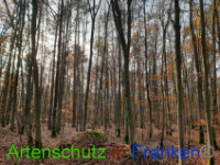 Bild zum Eintrag (1037227-177)